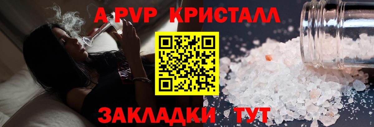 Alfa_PVP СК Тамбов